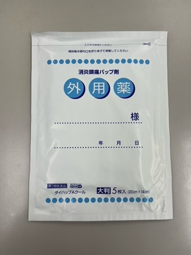 ﾀﾞｲﾊｯﾌﾟAｸｰﾙ _L（大判）（ｱｳﾄﾚｯﾄ）　バラ売り