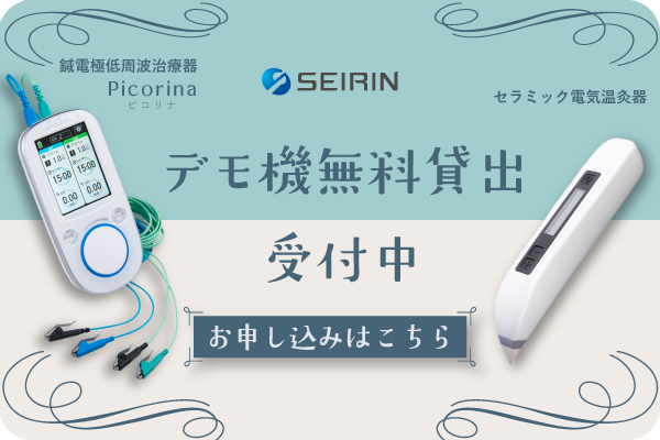 セイリンデモご案内